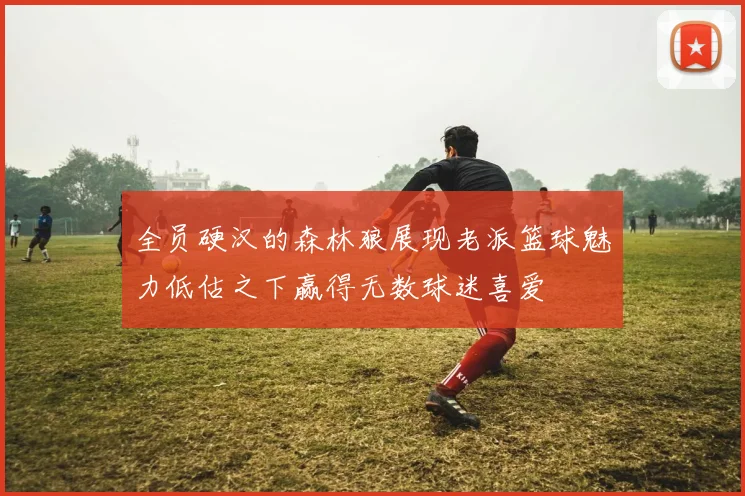 全员硬汉的森林狼展现老派篮球魅力低估之下赢得无数球迷喜爱